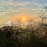 노을, 하늘, 해돋이, 해넘이, sunrise, 사진,이미지,일러스트,캘리그라피 - 몽동어멈작가 크라우드픽 - 저작권 걱정 없는 상업용 이미지