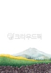 벽, 제주도, 제주돌담, 유채꽃, 유채꽃밭, 사진,이미지,일러스트,캘리그라피 - sorok소록작가 크라우드픽 - 저작권 걱정 없는 상업용 이미지