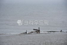 바닷가, 갯벌, 썰물, 밀물, 서해, 사진,이미지,일러스트,캘리그라피 - yulmok작가 크라우드픽 - 저작권 걱정 없는 상업용 이미지