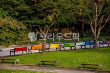 자연, nature, 옥외, outdoors, 벤치, 사진,이미지,일러스트,캘리그라피 - pixokorea작가 크라우드픽 - 저작권 걱정 없는 상업용 이미지