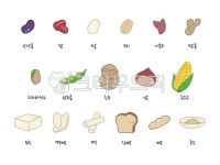 곡류, 곡물, 세트, 일러스트, 견과류, 사진,이미지,일러스트,캘리그라피 - 히얀작가 크라우드픽 - 저작권 걱정 없는 상업용 이미지