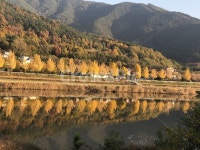 단풍나무, 가을단풍, 창녕, 시골풍경, 호수, 사진,이미지,일러스트,캘리그라피 - Nredoh83작가 크라우드픽 - 저작권 걱정 없는 상업용 이미지