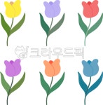 꽃, flower, 튤립, 봄, 봄꽃, 사진,이미지,일러스트,캘리그라피 - 엔쮸작가 크라우드픽 - 저작권 걱정 없는 상업용 이미지