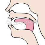 korea, lip, mouth, pronunciation, 발음, 사진,이미지,일러스트,캘리그라피 - Adelie작가 크라우드픽 - 저작권 걱정 없는 상업용 이미지