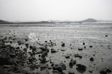 갯벌, 바다, mudflat, 오이도, 흑백, 사진,이미지,일러스트,캘리그라피 - 뭐든지작가 크라우드픽 - 저작권 걱정 없는 상업용 이미지
