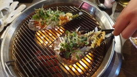 키조개, 조개구이, 연탄구이, 석쇠, penshell, 사진,이미지,일러스트,캘리그라피 - 바니소리작가 크라우드픽 - 저작권 걱정 없는 상업용 이미지