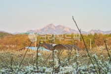 nature, 자연, 산, 땅, 나무, 사진,이미지,일러스트,캘리그라피 - neon0083작가 크라우드픽 - 저작권 걱정 없는 상업용 이미지