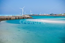 제주, 월정리해변, 해수욕장, 사파이어해변, 해변, 사진,이미지,일러스트,캘리그라피 - RootKIng작가 크라우드픽 - 저작권 걱정 없는 상업용... 