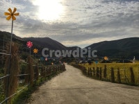 삼거마을, 거제도, 가을, 바람개비, 벼, 사진,이미지,일러스트,캘리그라피 - crystal작가 크라우드픽 - 저작권 걱정 없는 상업용 이미지