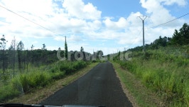 길, 풀, 자연, nature, grass, 사진,이미지,일러스트,캘리그라피 - LIA작가 크라우드픽 - 저작권 걱정 없는 상업용 이미지