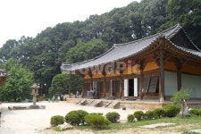 부석사, 무량수전, 배흘림기둥, 국보18호, 경북영주, 사진,이미지,일러스트,캘리그라피 - 별이빛나작가 크라우드픽 - 저작권 걱정 없는 상업용... 