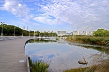 자연, 호수, 가로등, 식물, 구름 사진, 이미지 - 베드로작가 가장 한국적인 스톡 사진 - 크라우드픽