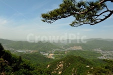 소나무, 북한산, 등산, 전경, 산행, 사진,이미지,일러스트,캘리그라피 - 늘작가 크라우드픽 - 저작권 걱정 없는 상업용 이미지