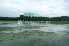 저수지, 호수, 연못, 웅덩이, 쉼터, 사진,이미지,일러스트,캘리그라피 - vvind작가 크라우드픽 - 저작권 걱정 없는 상업용 이미지