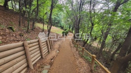 서울둘레길2코스, 용마산등산코스, 산책로, 트래킹코스, nature, 사진,이미지,일러스트,캘리그라피 - 김사장작가 크라우드픽 - 저작권 걱정 없는... 