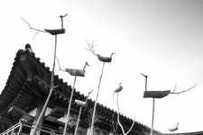 솟대, 한옥, 한국전통, 무늬, 한국, 사진,이미지,일러스트,캘리그라피 - 천창기작가 크라우드픽 - 저작권 걱정 없는 상업용 이미지