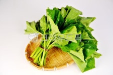 호박잎, 쌈, 채소, 야채, 식재료, 사진,이미지,일러스트,캘리그라피 - 깨비선생작가 크라우드픽 - 저작권 걱정 없는 상업용 이미지