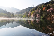 전남, 화순, 세량지, 세량제, 저수지, 사진,이미지,일러스트,캘리그라피 - 영산공작가 크라우드픽 - 저작권 걱정 없는 상업용 이미지