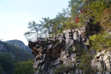 설악산, 가을, 단풍, 바위, cliff, 사진,이미지,일러스트,캘리그라피 - 웅장작가 크라우드픽 - 저작권 걱정 없는 상업용 이미지