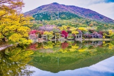 단풍, 반영, 단풍나무, 저수지, 가을, 사진,이미지,일러스트,캘리그라피 - 라파엘작가 크라우드픽 - 저작권 걱정 없는 상업용 이미지