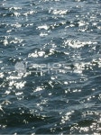 water, nature, 자연, 윤슬, 파도, 사진,이미지,일러스트,캘리그라피 - yeahh1234작가 크라우드픽 - 저작권 걱정 없는 상업용 이미지