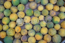 fruit, 과일, food, 음식, 열매, 사진,이미지,일러스트,캘리그라피 - 하연1216작가 크라우드픽 - 저작권 걱정 없는 상업용 이미지