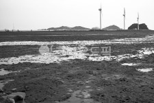 누에섬, 제부도, 뻘, 탄도항, 갯골, 사진,이미지,일러스트,캘리그라피 - Deep bLUE작가 크라우드픽 - 저작권 걱정 없는 상업용 이미지