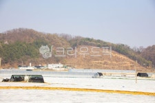 nature, outdoors, 옥외, 비닐하우스, 농촌, 사진,이미지,일러스트,캘리그라피 - 으치리작가 크라우드픽 - 저작권 걱정 없는 상업용 이미지