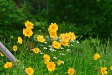 광주, 서구, 공원, 풍암저수지, 풍암공원, 사진,이미지,일러스트,캘리그라피 - 영산공작가 크라우드픽 - 저작권 걱정 없는 상업용 이미지