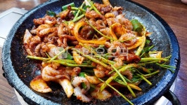 한식, food, 음식, 쭈꾸미볶음, 주꾸미볶음, 사진,이미지,일러스트,캘리그라피 - Niamwinmir작가 크라우드픽 - 저작권 걱정 없는 상업용 이미지