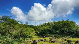 제주, 한라산, 1100고지, 한라산1100고지, 산, 사진,이미지,일러스트,캘리그라피 - phototo73작가 크라우드픽 - 저작권 걱정 없는 상업용... 