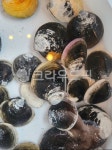 조개, 해양생물, 해물, 음식, 모시조개, 사진,이미지,일러스트,캘리그라피 - kyong2oo2작가 크라우드픽 - 저작권 걱정 없는 상업용 이미지
