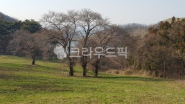 서산, 용비지, 용현저수지, 목장, 농장, 사진,이미지,일러스트,캘리그라피 - cem309작가 크라우드픽 - 저작권 걱정 없는 상업용 이미지