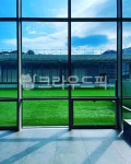 낮, 하늘, 푸름, 파랑, 초록, 사진,이미지,일러스트,캘리그라피 - 다니엘강작가 크라우드픽 - 저작권 걱정 없는 상업용 이미지