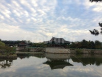 경주, 안압지, 동궁과월궁, 경주여행, 임해전, 사진,이미지,일러스트,캘리그라피 - ZelKun작가 크라우드픽 - 저작권 걱정 없는 상업용 이미지