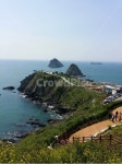 부산, 오륙도, 부산오륙도, 갈멧길, 부산봄, 사진,이미지,일러스트,캘리그라피 - Aiden0913작가 크라우드픽 - 저작권 걱정 없는 상업용 이미지