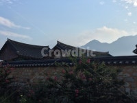 매화나무, 기와집, 돌담, architecture, 풍경, 사진,이미지,일러스트,캘리그라피 - 하이작가 크라우드픽 - 저작권 걱정 없는 상업용 이미지