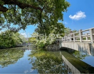 water, outdoors, 옥외, 이팝나무, 구름다리, 사진,이미지,일러스트,캘리그라피 - 트래블러DNA작가 크라우드픽 - 저작권 걱정 없는 상업용... 