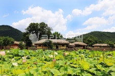 초가집, 민속마을, 고향, 자연, 외암마을, 사진,이미지,일러스트,캘리그라피 - 아비드작가 크라우드픽 - 저작권 걱정 없는 상업용 이미지