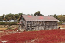 소금창고, 창고, 옛날창고, 시흥갯골생태공원, 식물, 사진,이미지,일러스트,캘리그라피 - 함께사는세상작가 크라우드픽 - 저작권 걱정 없는 상업용... 