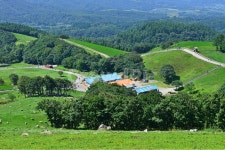 대관령, 양떼목장, 자연, nature, outdoors, 사진,이미지,일러스트,캘리그라피 - 영산공작가 크라우드픽 - 저작권 걱정 없는 상업용 이미지