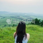 자연, 오름, 제주, 여름, 등산, 사진,이미지,일러스트,캘리그라피 - Naran8885작가 크라우드픽 - 저작권 걱정 없는 상업용 이미지