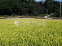 nature, 자연, outdoors, 옥외, grassland, 사진,이미지,일러스트,캘리그라피 - 가현2작가 크라우드픽 - 저작권 걱정 없는 상업용 이미지