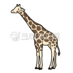 기린, giraffe, 동물, 동물원, 포유류, 사진,이미지,일러스트,캘리그라피 - yidorang작가 크라우드픽 - 저작권 걱정 없는 상업용 이미지
