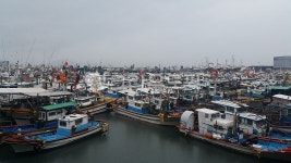 항구, 배, 바다, 태풍, 동해, 사진,이미지,일러스트,캘리그라피 - imsilnews작가 크라우드픽 - 저작권 걱정 없는 상업용 이미지