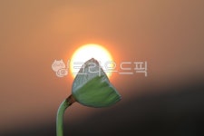 햇빛, 자연, 옥외, 하늘, 플레어, 사진,이미지,일러스트,캘리그라피 - 바이탈사인작가 크라우드픽 - 저작권 걱정 없는 상업용 이미지