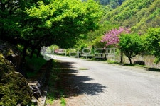 nature, 자연, outdoors, 옥외, 장성백양사, 사진,이미지,일러스트,캘리그라피 - 영산공작가 크라우드픽 - 저작권 걱정 없는 상업용 이미지