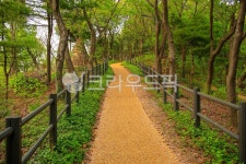 매봉산공원, 공원, 숲, 도로, 길, 사진,이미지,일러스트,캘리그라피 - imlover작가 크라우드픽 - 저작권 걱정 없는 상업용 이미지