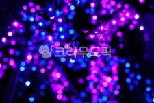 lighting, 조명, purple, 보라, light, 사진,이미지,일러스트,캘리그라피 - sinikof작가 크라우드픽 - 저작권 걱정 없는 상업용 이미지