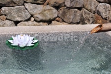 약수물, 약수터, 사찰, 연꽃, 여름, 사진,이미지,일러스트,캘리그라피 - 줄리작가 크라우드픽 - 저작권 걱정 없는 상업용 이미지